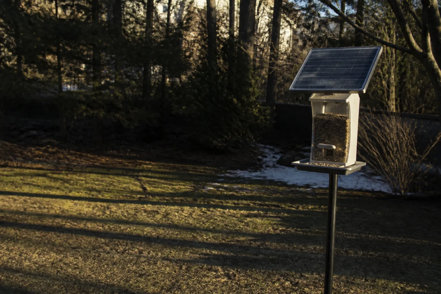 A generic solar camera feeder partially shaded by long winter shadows.